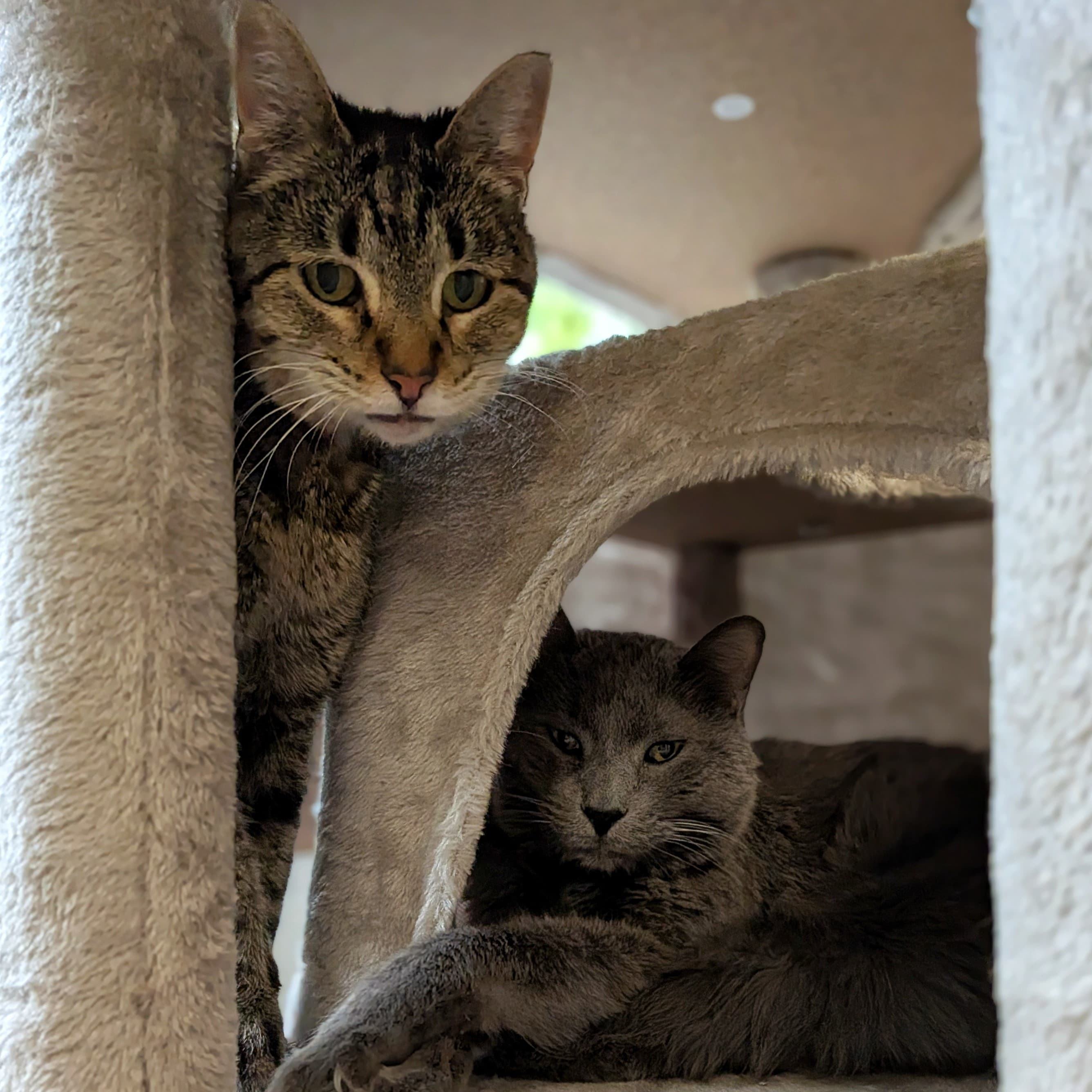 Cam and Cora