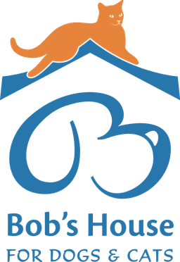 Bob's House for Dogs + Cats