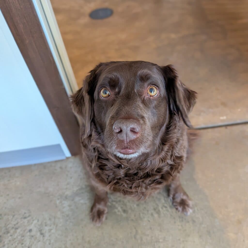 Maggie - In Transition